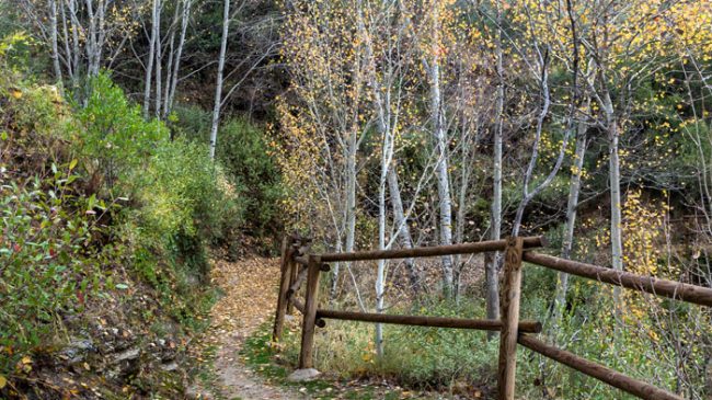 Path of Los Molinos y Reul Alto