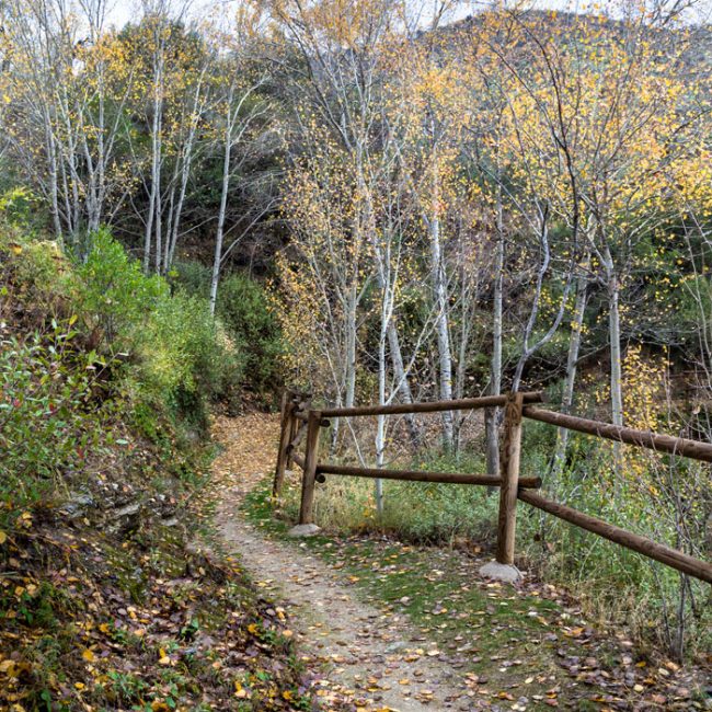 Sendero Los Molinos y Reul Alto
