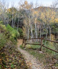 Sendero Los Molinos y Reul Alto