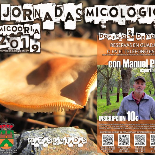 8ª Jornadas Micológicas MicoOria 2019