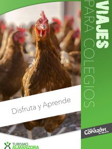 Catálogo de Viajes para Colegios