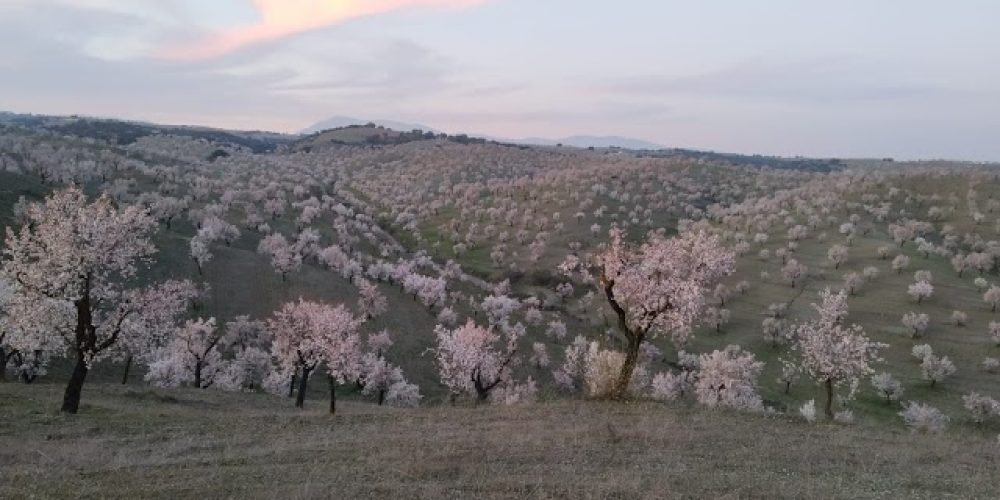 Almeria a vista de Drone, nuevo canal en YouTube de Javier Ávalos