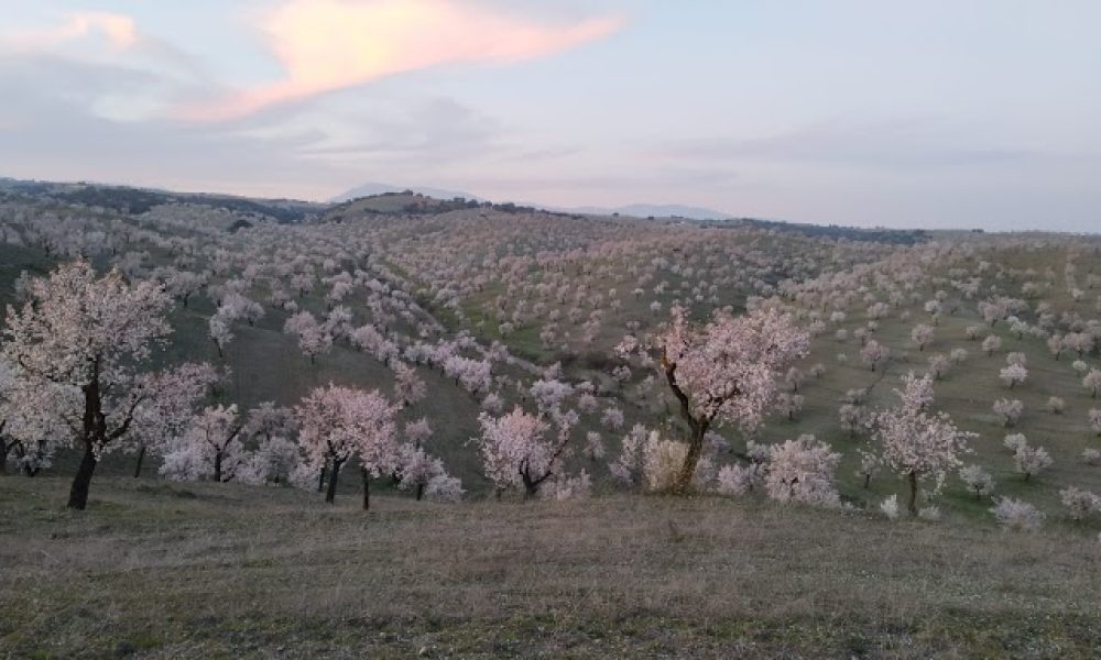 Almeria a vista de Drone, nuevo canal en YouTube de Javier Ávalos
