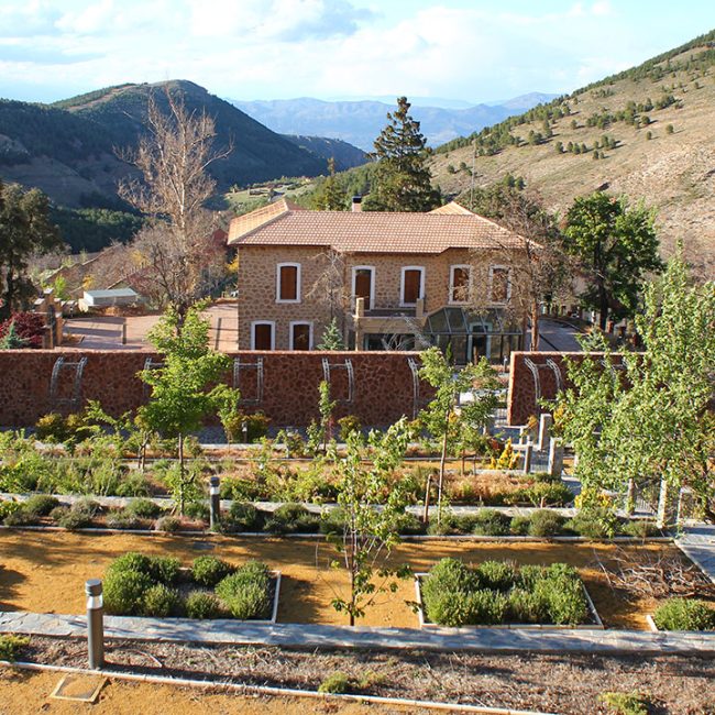 Las Menas Mining Town