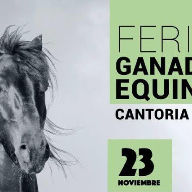 Feria de Ganado Equino – Cantoria 2019