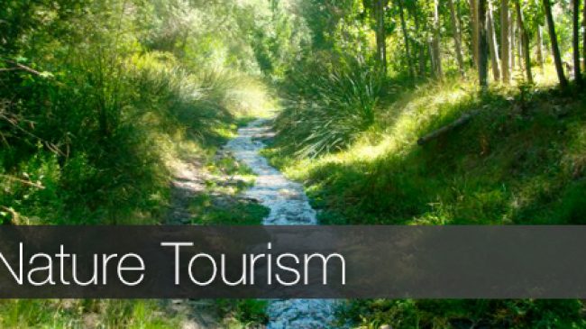 NATURE TOURISM