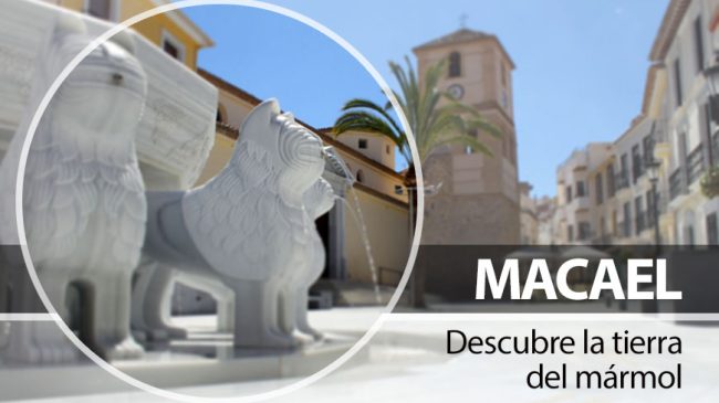 Macael