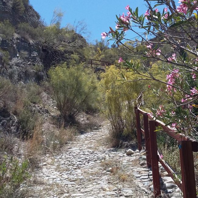 Empedrado Way to Líjar