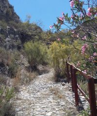 Camino Empedrado a Líjar
