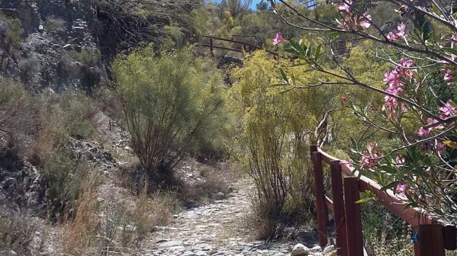 Empedrado Way to Líjar