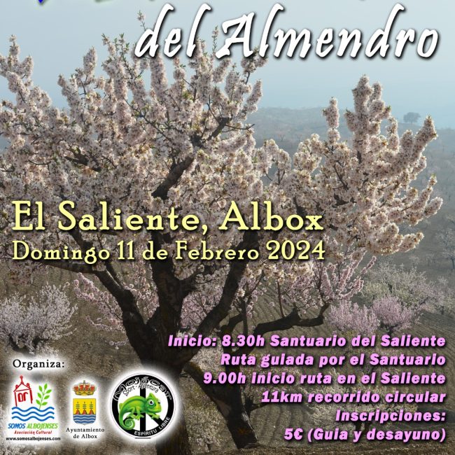 XIV Ruta Flor del Almendro – Albox 2024