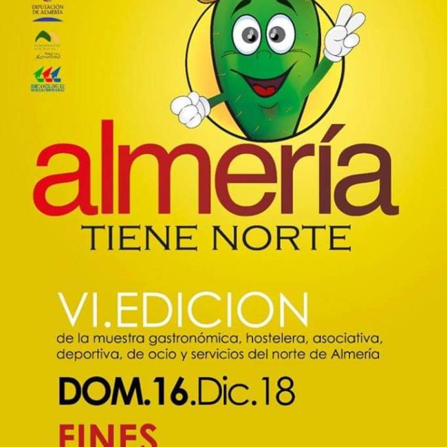 VI Edición de Almeria Tiene Norte