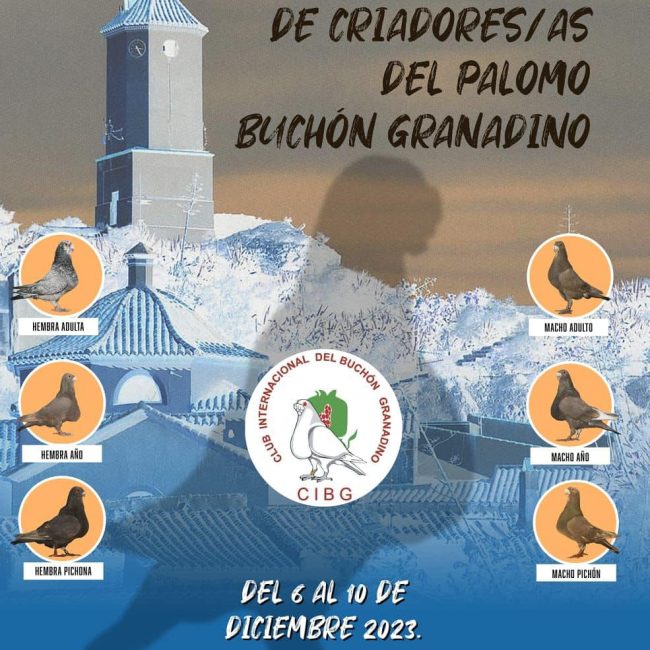 XIV Concentración de Criadores de Palomo Buchón Granadino en Zurgena