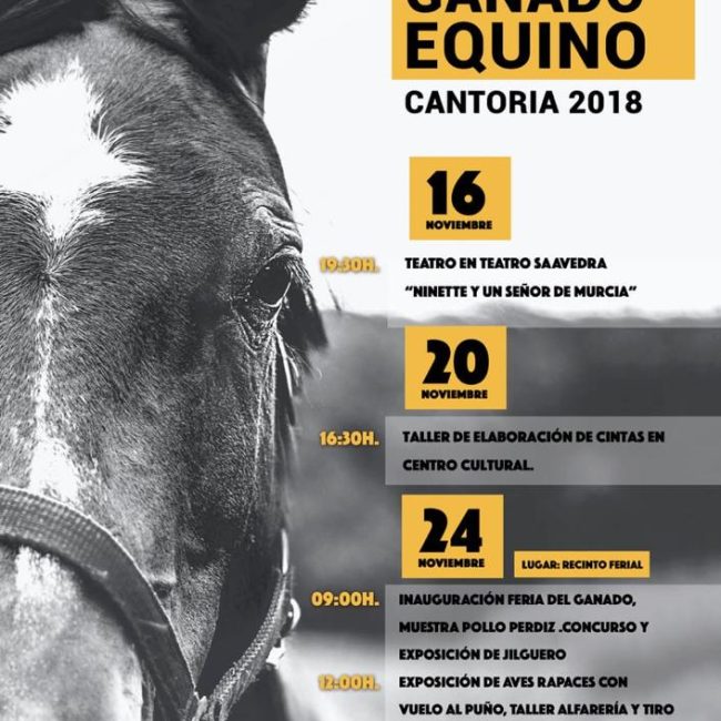 Feria Ganado Equino Cantoria 2018