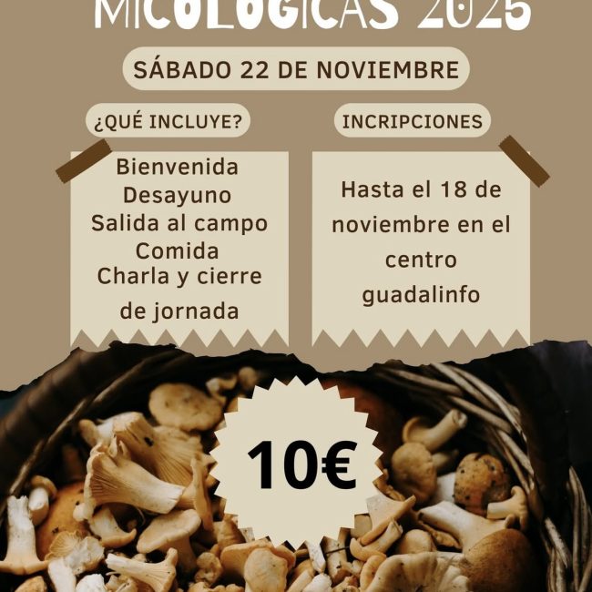 Jornadas Micológicas Bacares 2025