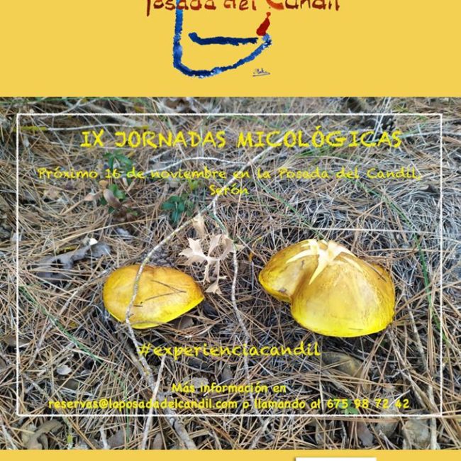 IX Jornadas Micológicas La Posada del Candil