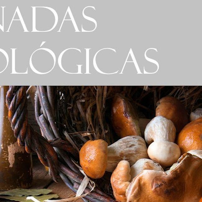 XIII Mycological Conference La Posada del Candil 2024