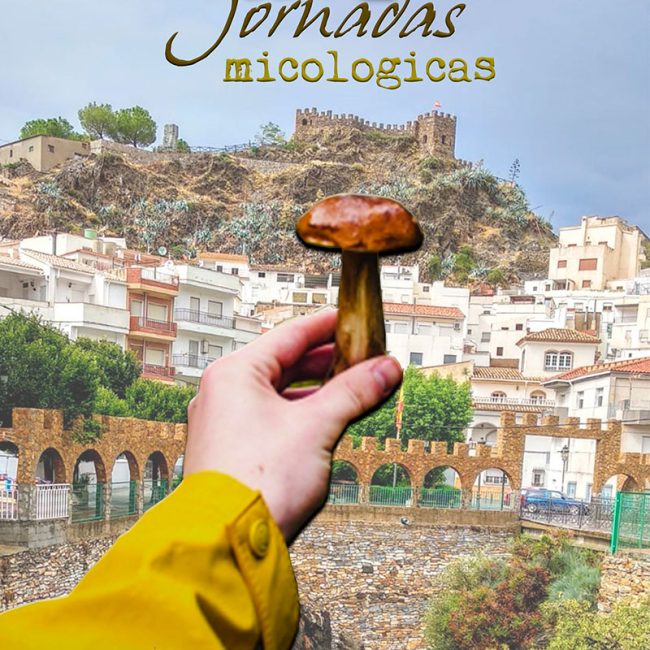 XVI Jornadas Micológicas en Sierro