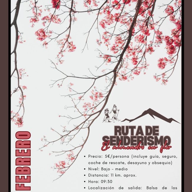 Ruta del Almendro en Flor – Taberno 2025