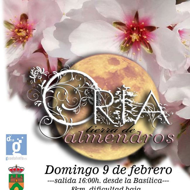 Sendero entre Almendros en Flor con luna llena en Oria