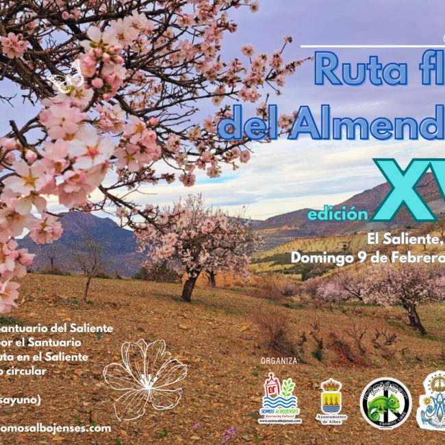 VX Ruta Flor del Almendro El Saliente – Albox 2025