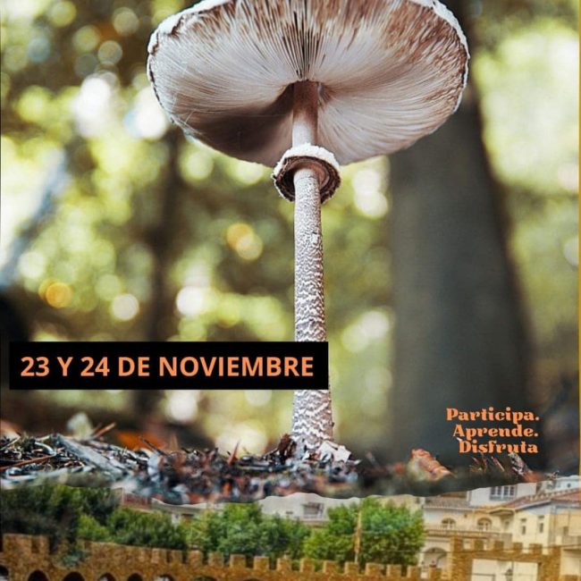 XX Mycological Days Sierro 2024