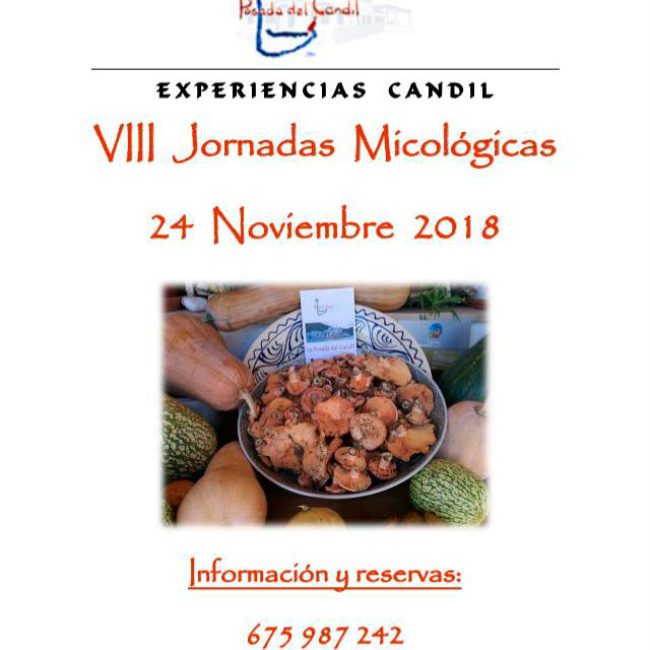 VIII Jornadas Micológicas La Posada del Candil