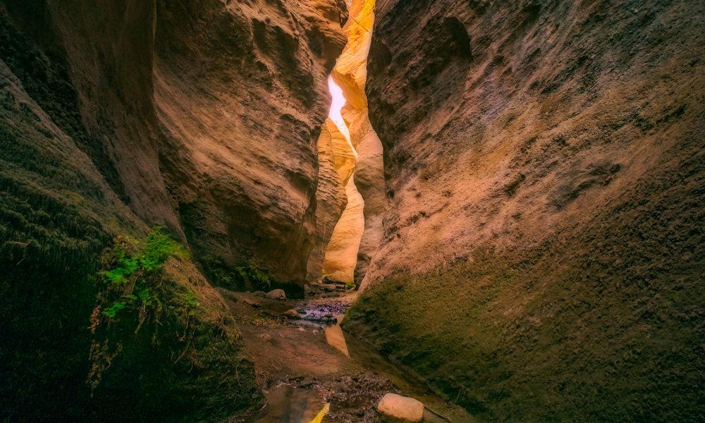 ¿Estás pensando en hacer un viaje, pero no sabes si elegir un destino rural o costero?