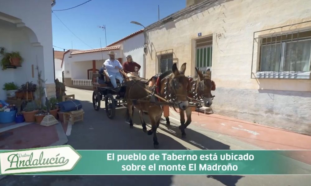 Canal Sur dedica un nuevo programa a Partaloa y Taberno