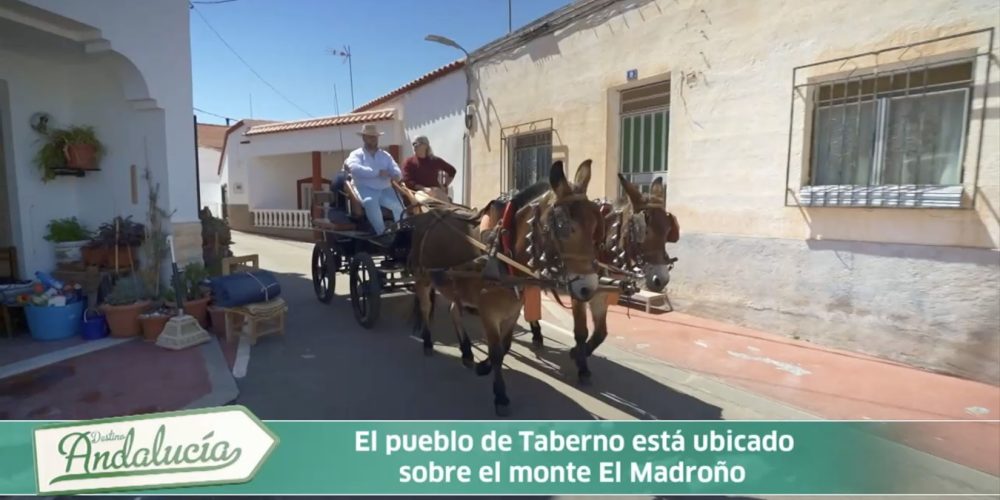 Canal Sur dedica un nuevo programa a Partaloa y Taberno