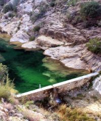 El Charcón – Fuente del Algarrobo