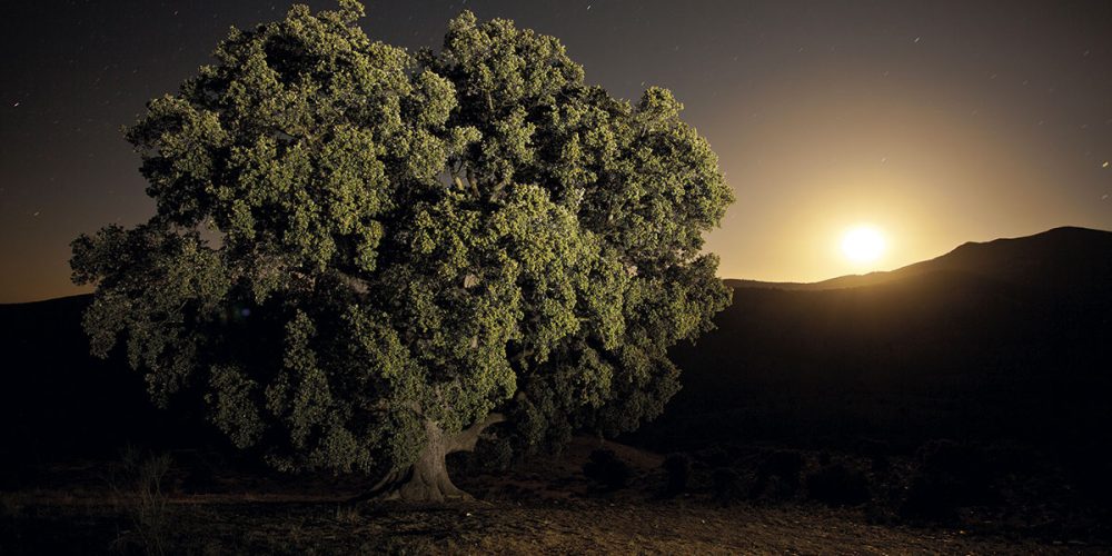 Consejos para conseguir las mejores fotografías en tus viajes