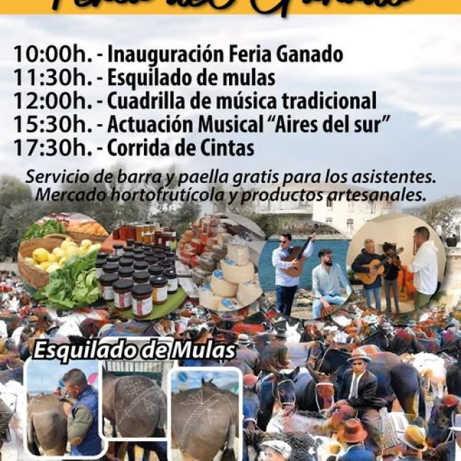 Albox Livestock Fair