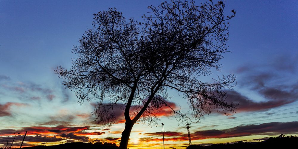 ¿Por qué es bueno el Turismo Sostenible?