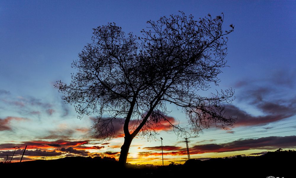 ¿Por qué es bueno el Turismo Sostenible?