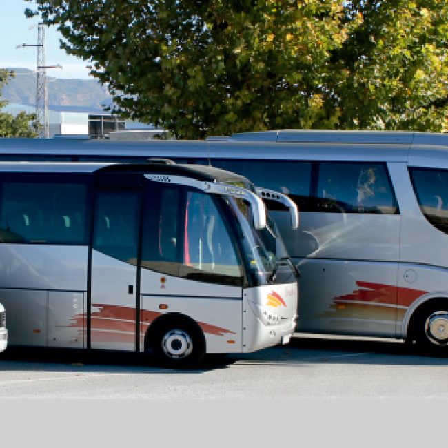 Bonachela Coach Services