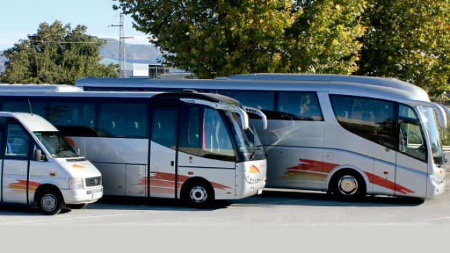 Bonachela Coach Services