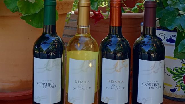 Winery Cortijo del Aire