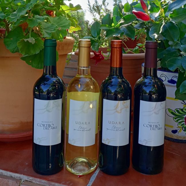 Winery Cortijo del Aire