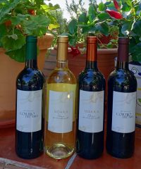 Bodegas Cortijo del Aire