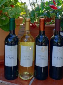 Winery Cortijo del Aire