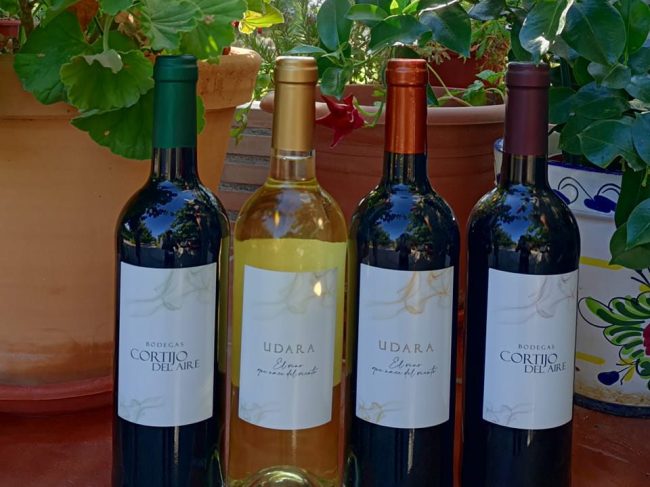 Winery Cortijo del Aire