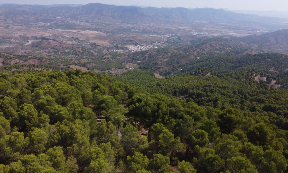 Sierra de los Filabres, un oasis donde perderse