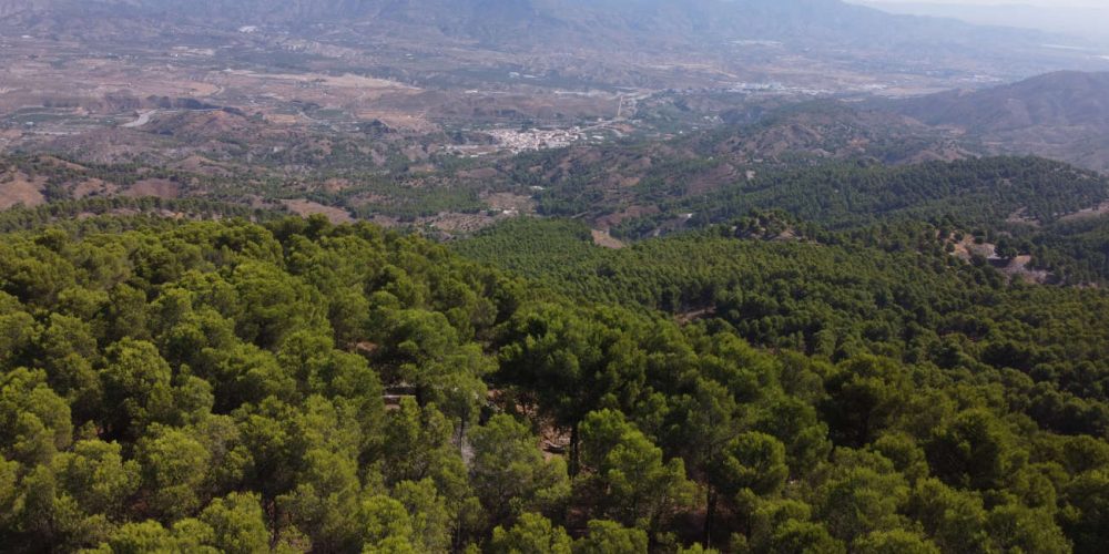 Sierra de los Filabres, un oasis donde perderse