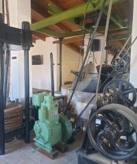 Centro de Interpretación del Aceite – Suflí