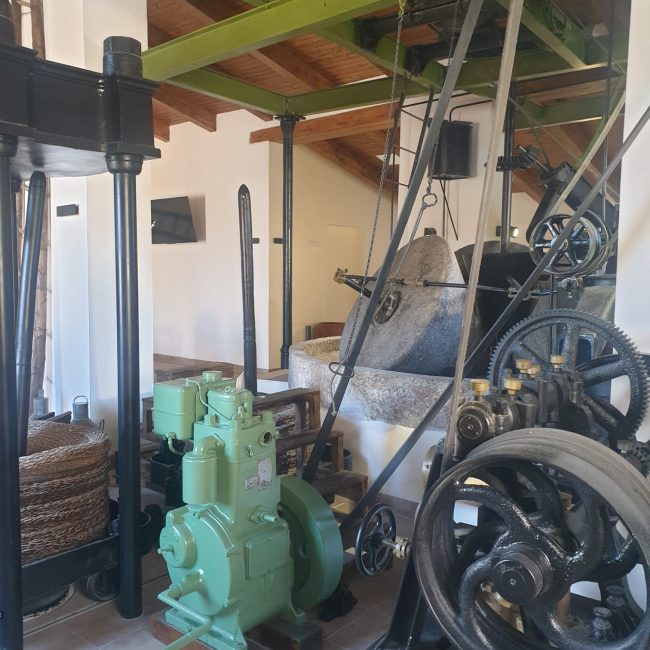 Centro de Interpretación del Aceite – Suflí