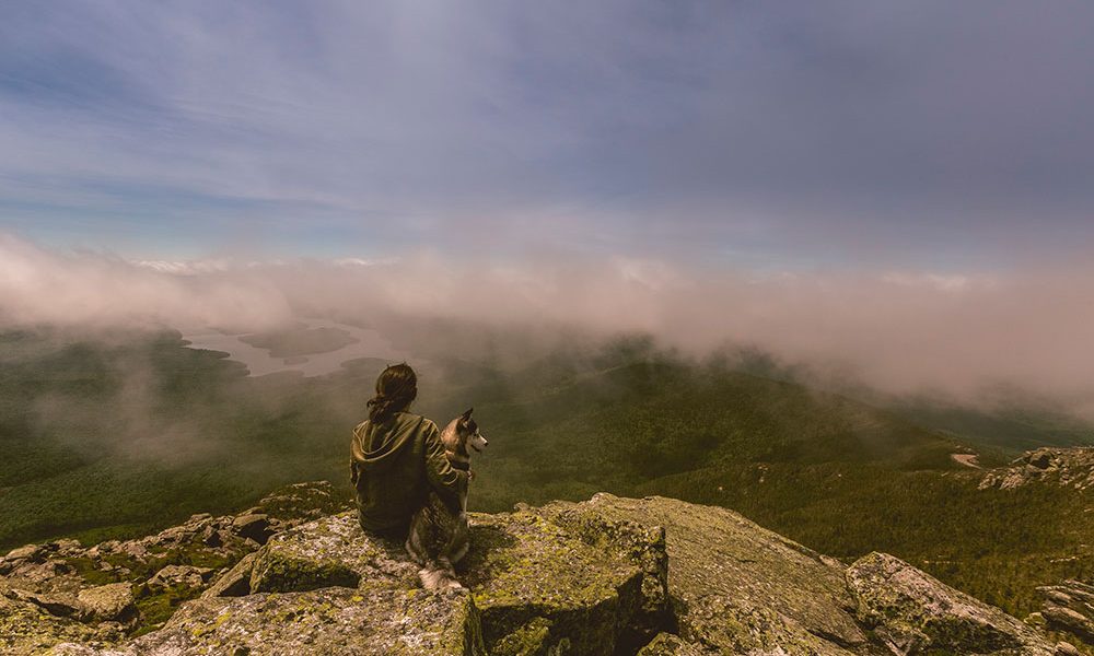 ¡Mi mascota también se va de viaje!