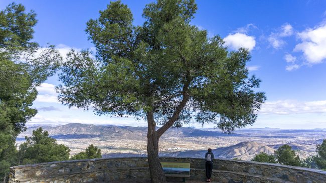 Viewpoint of Silveria