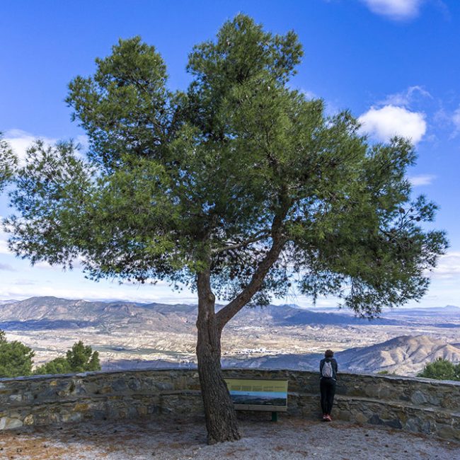 Viewpoint of Silveria