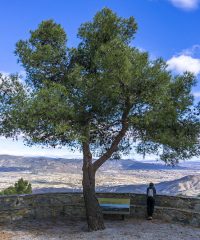 Mirador de la Silveria
